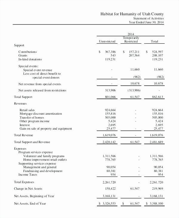 Non Profit Financial Statement Template Excel New Projected In E Statement Template Excel – Ddmoon