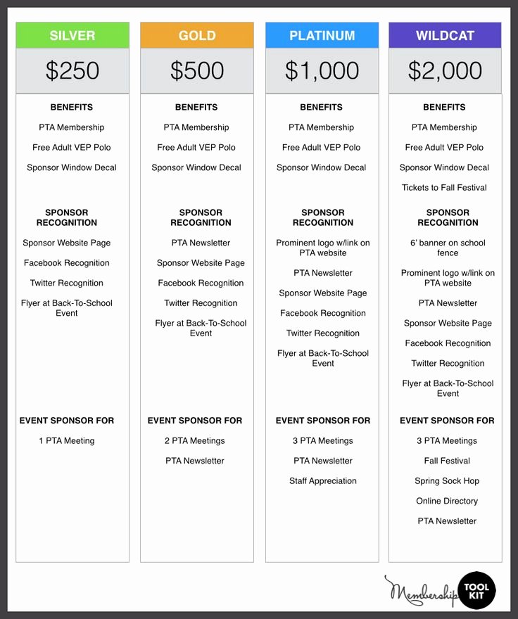 Non Profit Sponsorship Package Template Unique Example Of Sponsorship Levels Auction 2017