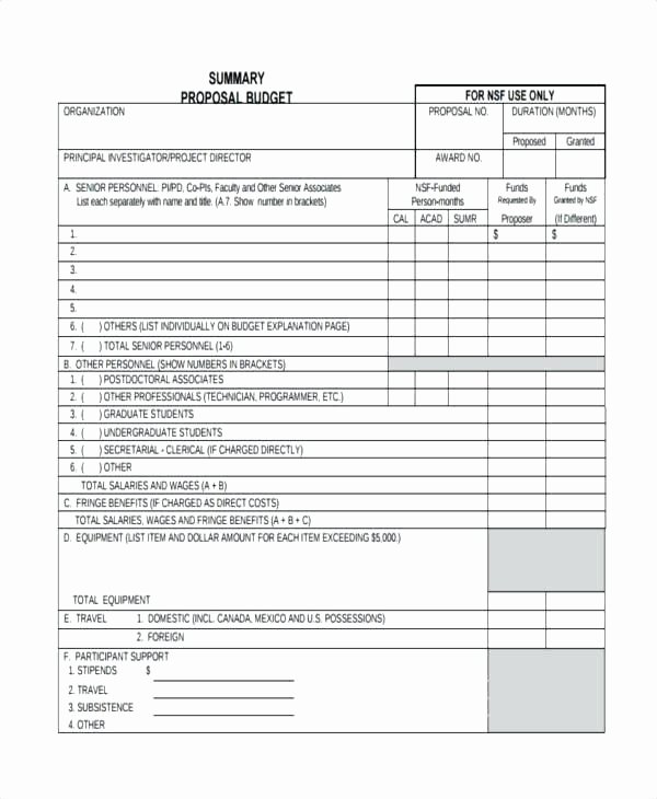 Nsf Letter Of Collaboration Template Lovely Nsf Project Summary Template