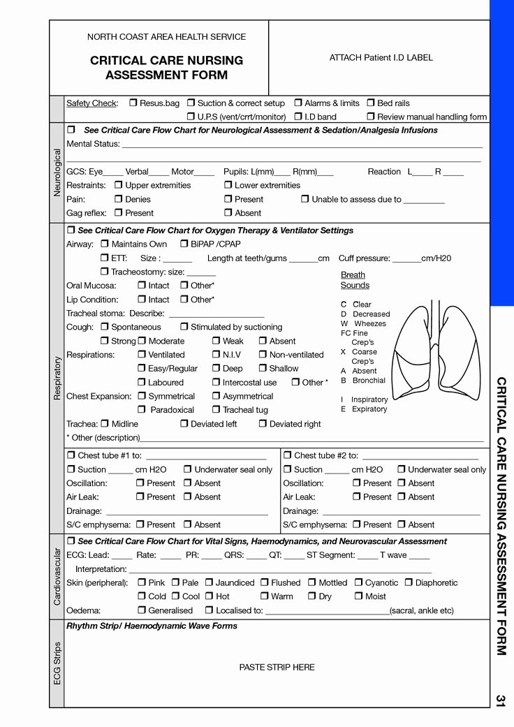 Nursing assessment Documentation Template Awesome Best 25 Nursing assessment Ideas On Pinterest