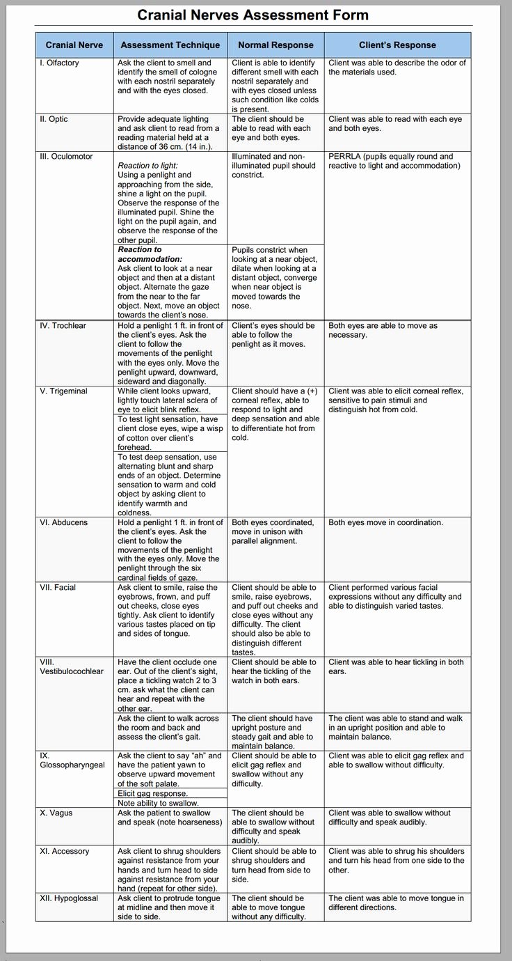 Nursing assessment Documentation Template Beautiful 25 Best Ideas About Nursing assessment On Pinterest