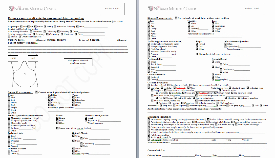 Nursing assessment Documentation Template Best Of Practical Magic Standardizing Ostomy Documentation Among