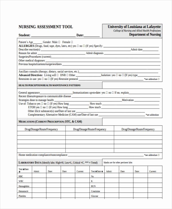 Nursing assessment Documentation Template Unique 34 Nursing assessments Examples &amp; Samples