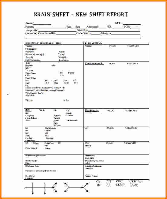 Nursing Bedside Shift Report Template Luxury 28 Of Charge Nurse Report Sheet Template