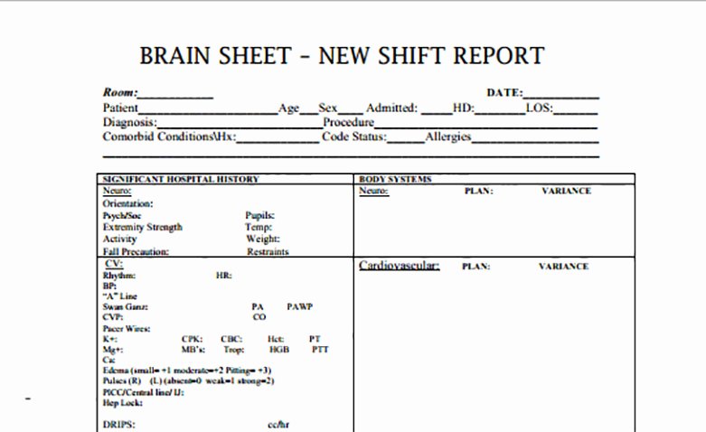 Nursing Bedside Shift Report Template Luxury Nurse Brain Sheets New Shift Report