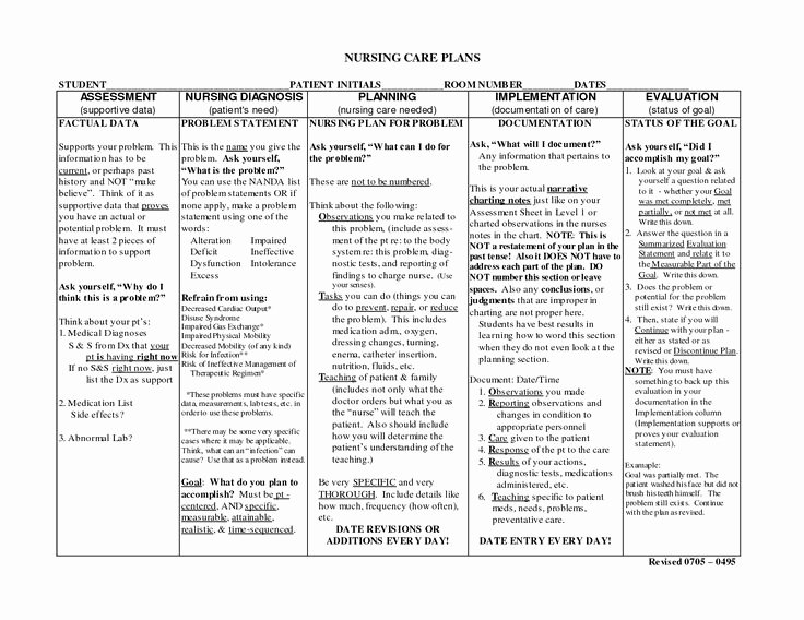 Nursing Education Plan Template Unique Nursing Notes