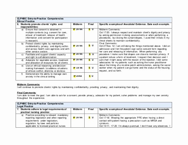 Nursing Evaluation Comments Examples Beautiful Preceptor Ments Examples