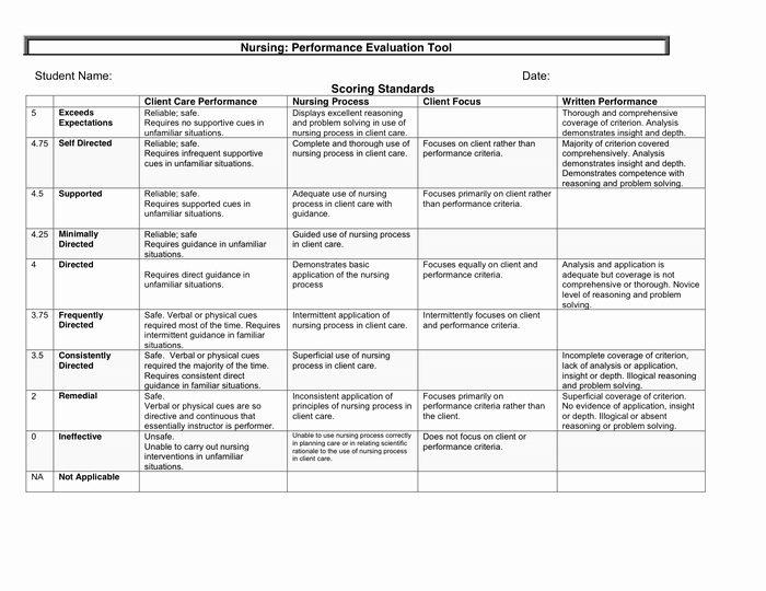 Nursing Evaluation Comments Examples Unique Performance Evaluation tool In Word and Pdf formats