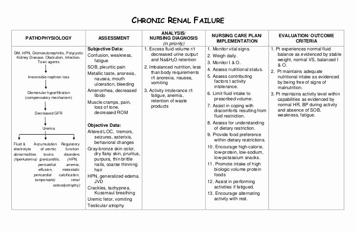 Nursing Patient Teaching Plan Sample Inspirational Nursing Care Plan Chronic Renal Failure