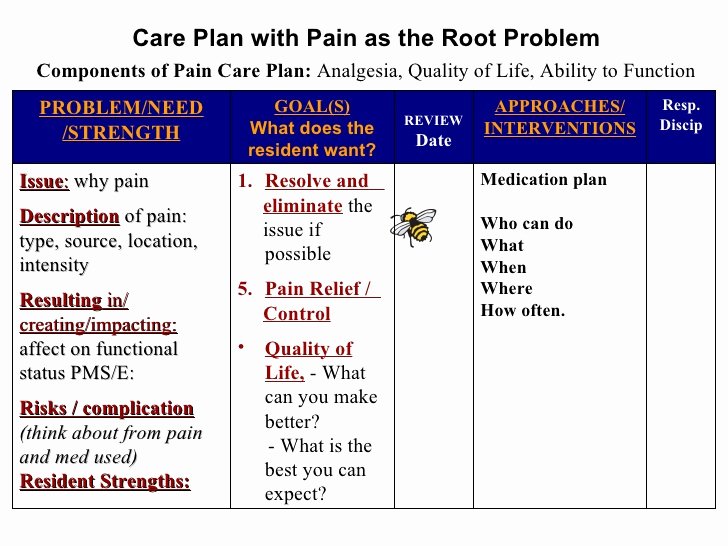 Nursing Patient Teaching Plan Sample Lovely Care Plan Template