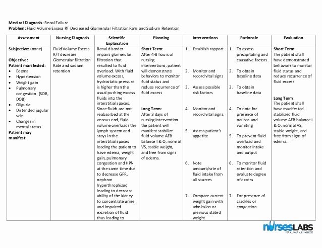 Nursing Patient Teaching Plan Sample New 1 Fluid Volume Excess Chronic Renal Failure