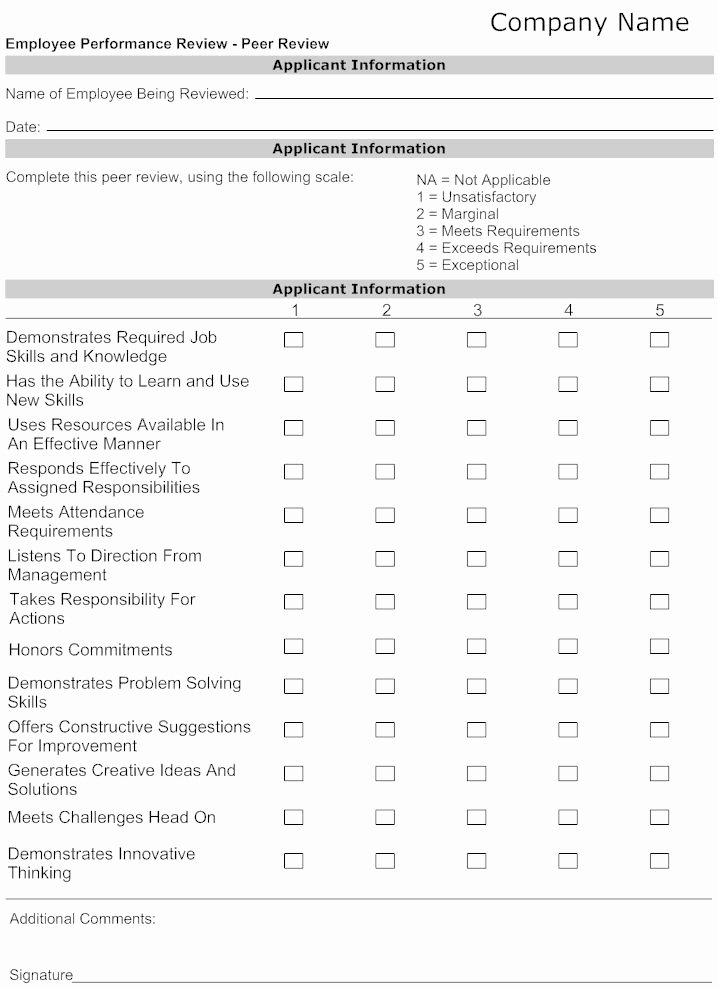 Nursing Peer Review Template Awesome Example Image Employee Performance Review