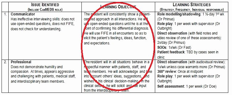 Nursing Teaching Plan Examples Awesome Education Plan Template for Nurses