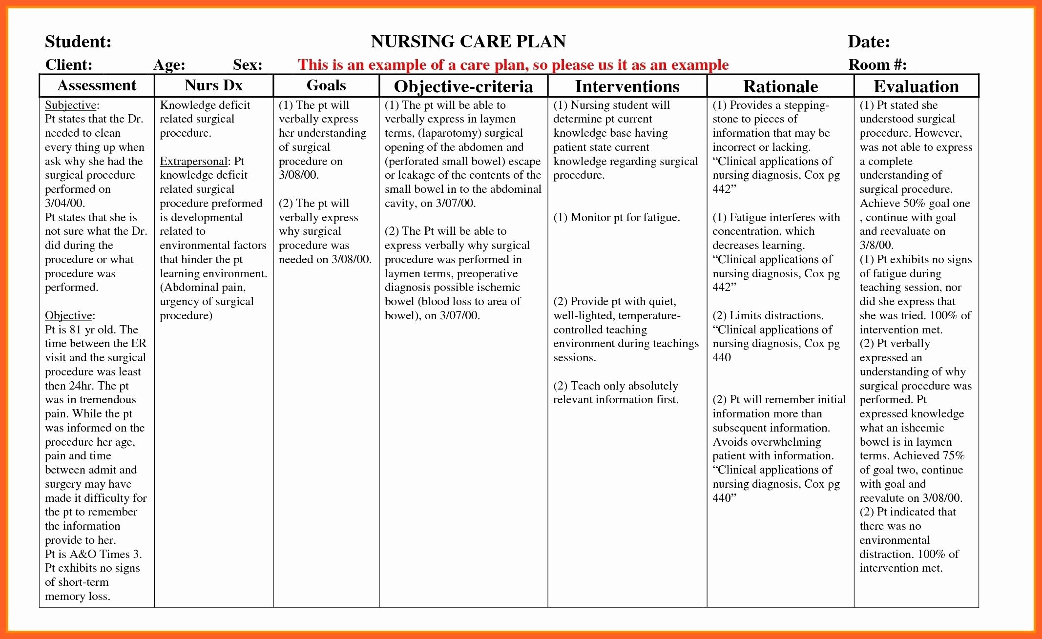 Nursing Teaching Plan Examples Elegant Example Care Plan Template for Elderly Nursing Home