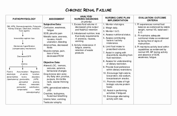 Nursing Teaching Plan Examples Elegant Nursing Care Plan Chronic Renal Failure