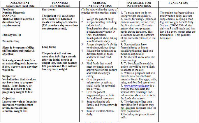 Nursing Teaching Plan Examples Luxury Nursing Care Plan for Postpartum Patients