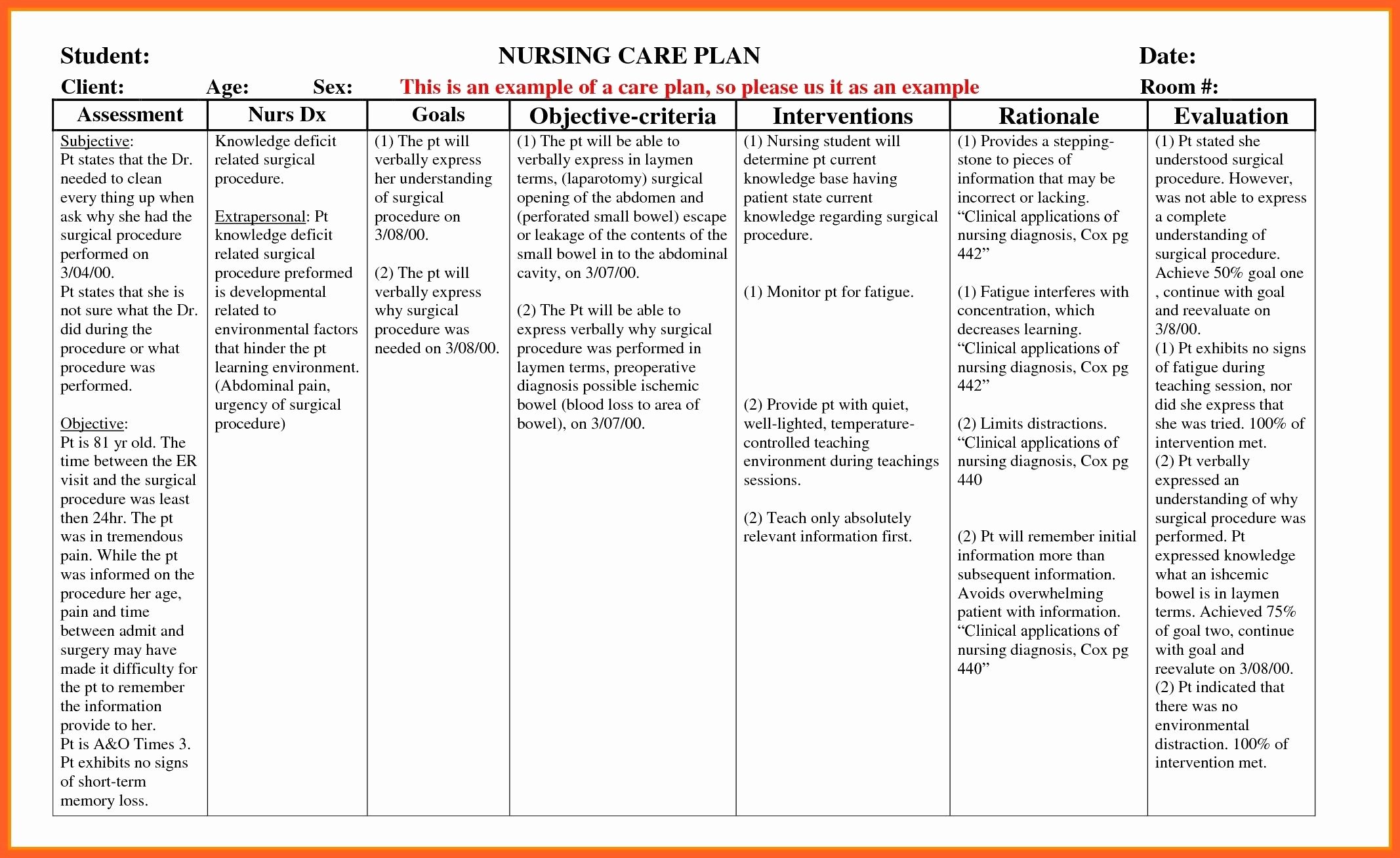 Nursing Teaching Plan Template Awesome Example Care Plan Template for Elderly Nursing Home