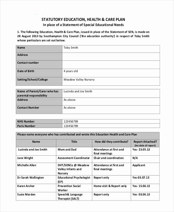 Nursing Teaching Plan Template Beautiful 10 Healthcare Plan Templates Pdf Word