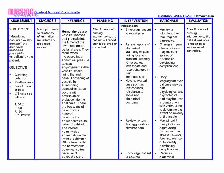 Nursing Teaching Plan Template Inspirational Best 25 Nursing Care Plan Ideas On Pinterest