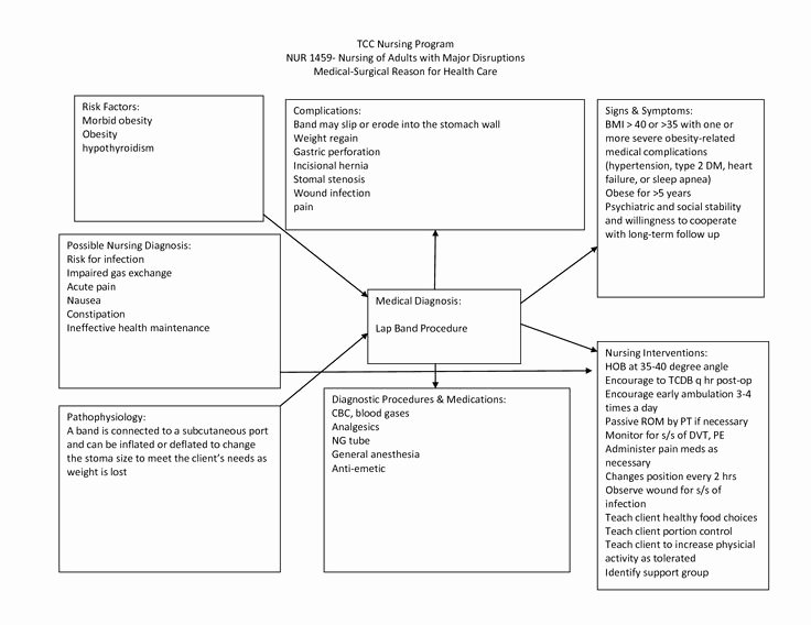 Nursing Teaching Plan Template New Nursing Diagnosis Concept Maps