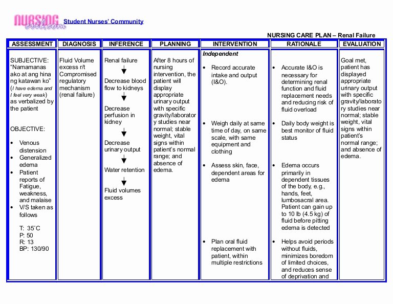 Nursing Teaching Plan Unique Nursing Crib Nursing Care Plan Renal Failure