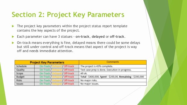 One Page Project Summary Best Of E Page Effective Project Status Report