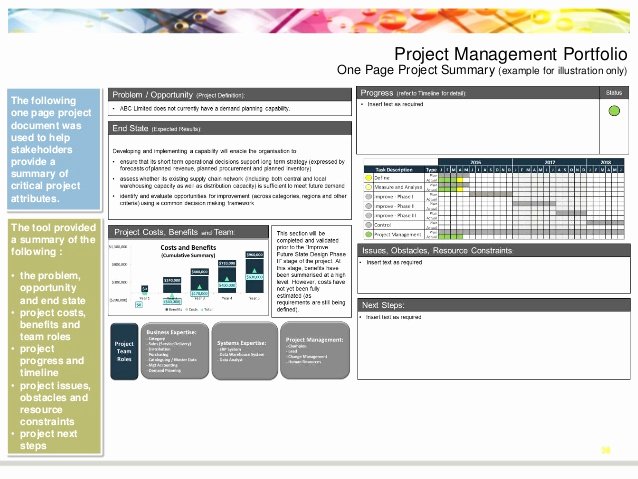 One Page Project Summary Best Of Process Improvement and Project Management Portfolio