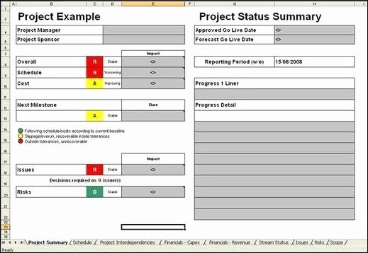 One Page Project Summary Elegant Project Management Report From Project Management