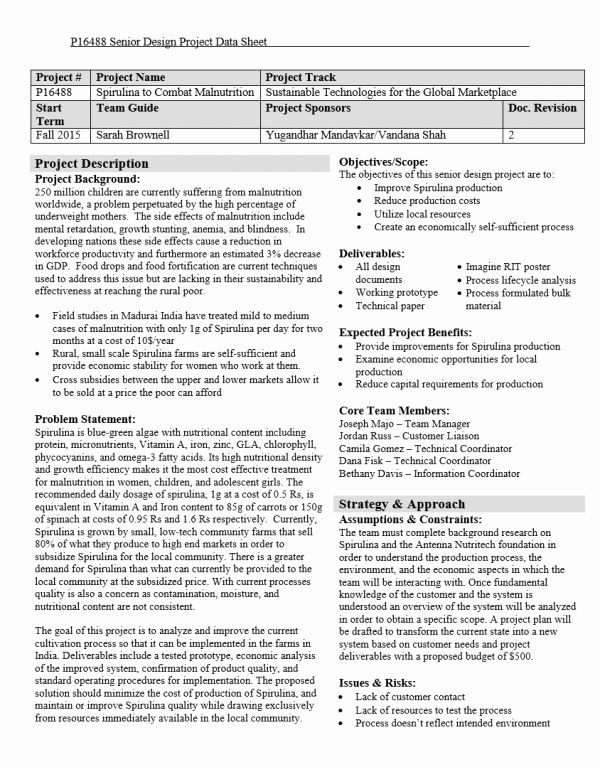 One Page Project Summary Fresh Edge
