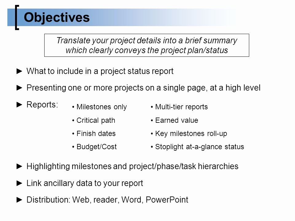 One Page Project Summary Lovely Successfully Presenting Your Microsoft Project Reports