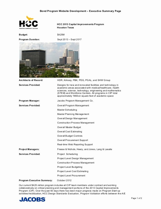 One Page Project Summary New Website Project Summary Pages