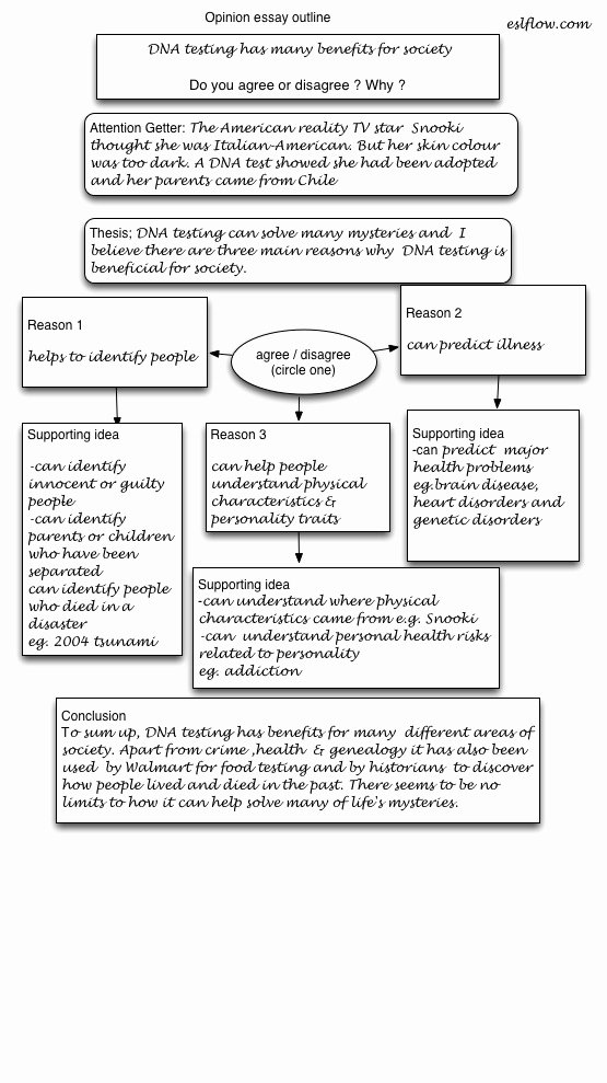 Opinion Editorial Essay Example Best Of Outlining Essays Essay Outline Sample Example format Short