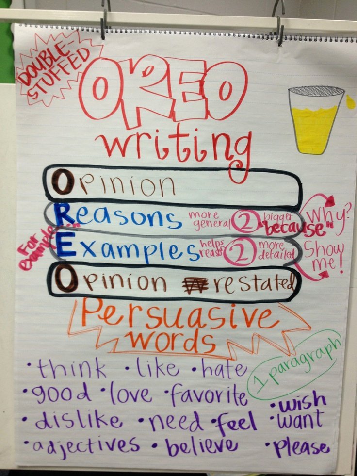 Opinion Editorial Essay Example Elegant Opinion Piece Lessons Tes Teach