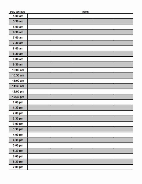 Paint Schedule Template Awesome Paint Schedule Template Filewhich