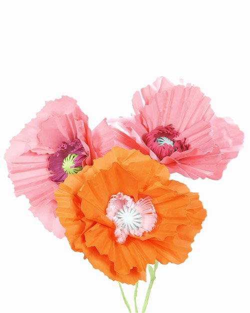 Paper Flower Template Martha Stewart Best Of Giant Paper Poppy Flower Decoration &amp; Video