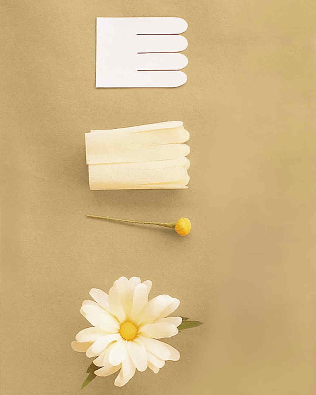 Paper Flower Template Martha Stewart Best Of How to Make Crepe Paper Flowers