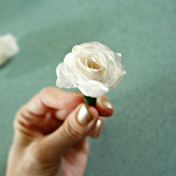 Paper Rose Template Martha Stewart Fresh Easy Diy Coffee Filter Roses Try It Three Different Ways
