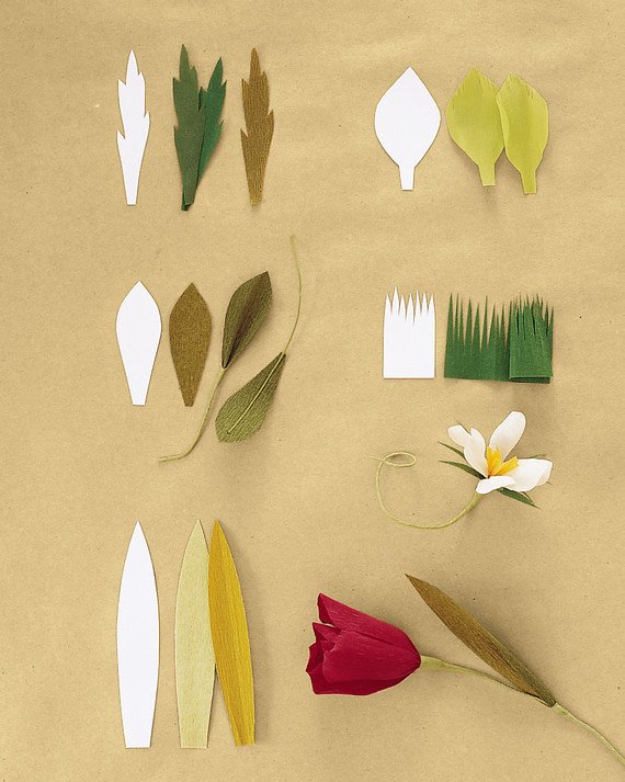 Paper Rose Template Martha Stewart Luxury How to Make Crepe Paper Flowers