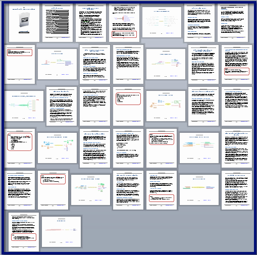 Participant Guide Template Elegant Mastering Mind Maps for Business Customizable Training