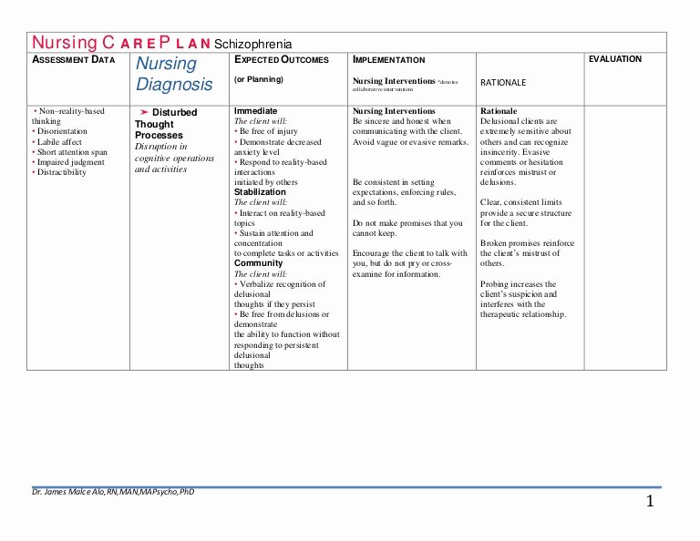 Patient Teaching Plan Examples Beautiful Nursing C A R E P L A N Schizophrenia Drjma