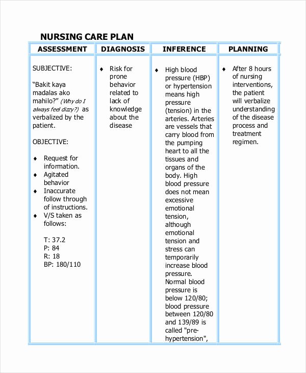 Patient Teaching Plan Examples Best Of Care Plan Template 16 Word Pdf format Download