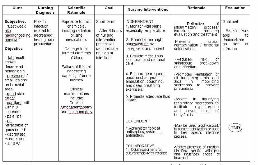 Patient Teaching Plan Examples Elegant Home Nursing Care Plan Sample Great Home Inteiror