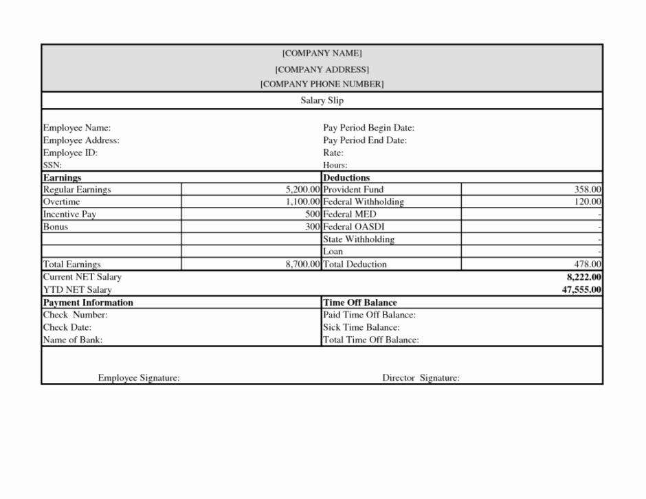 Pay Stub Template Word Awesome 10 Pay Stub Templates Word Excel Pdf formats