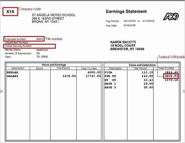 Pay Stub Template Word Inspirational Free Paystub Template