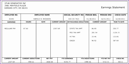 Pay Stub Template Word Luxury 10 Payroll Check Template Excel Exceltemplates