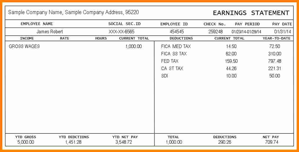 Pay Stub Template Word Unique 12 Paystub Example