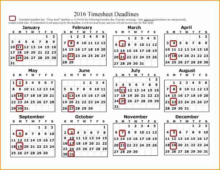 Payroll Calendar Templates Beautiful 12 Payroll Calendar Template 2017