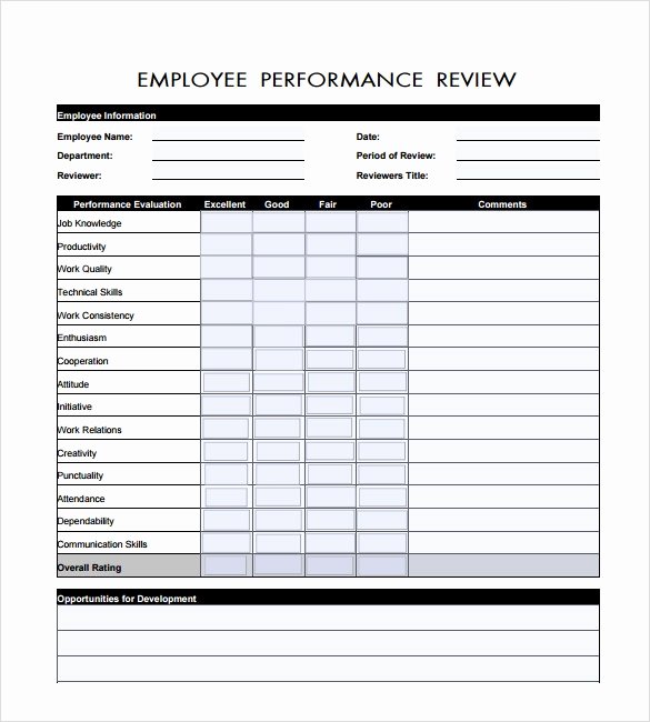 Performance Summary Example Beautiful Sample Performance Review 6 Documents In Pdf Word