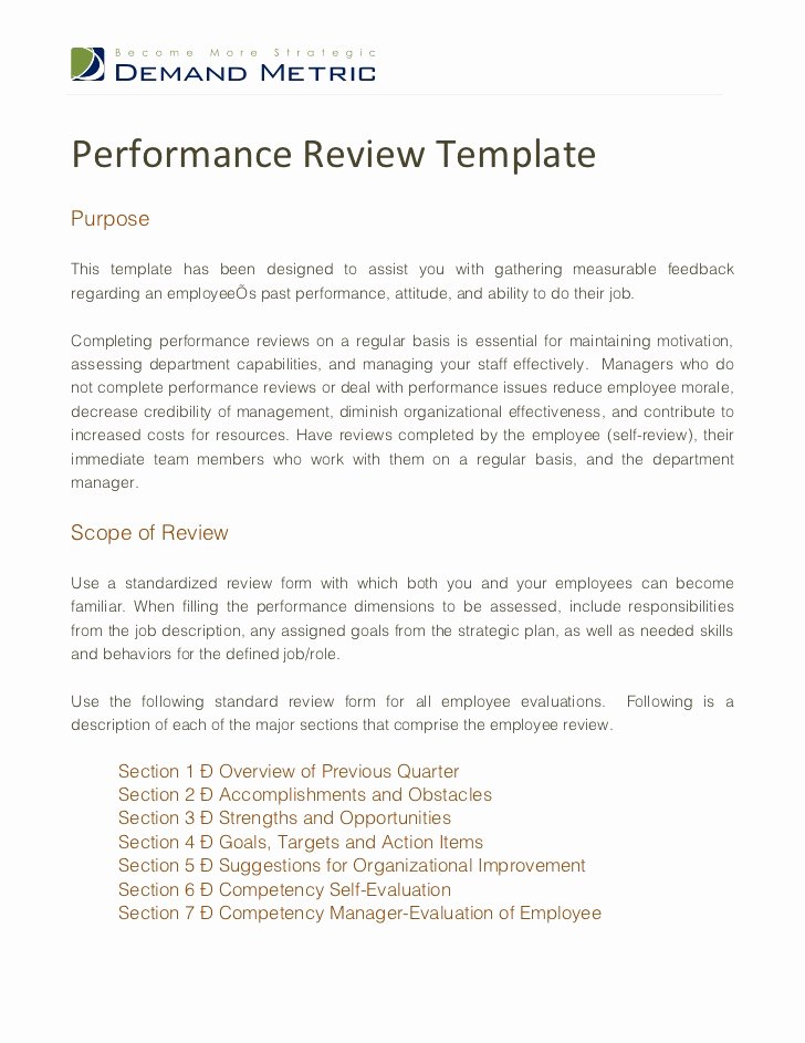 Performance Summary Example Lovely Performance Review Template