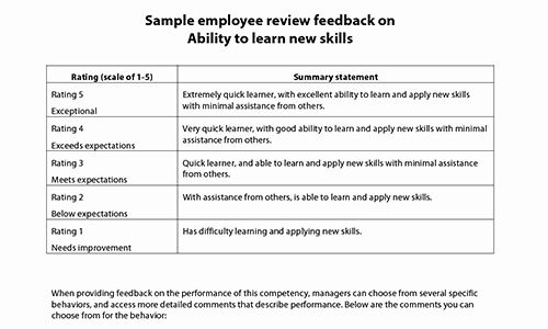 Performance Summary Example Luxury Sample Performance Review Ments &amp; Appraisal Feedback